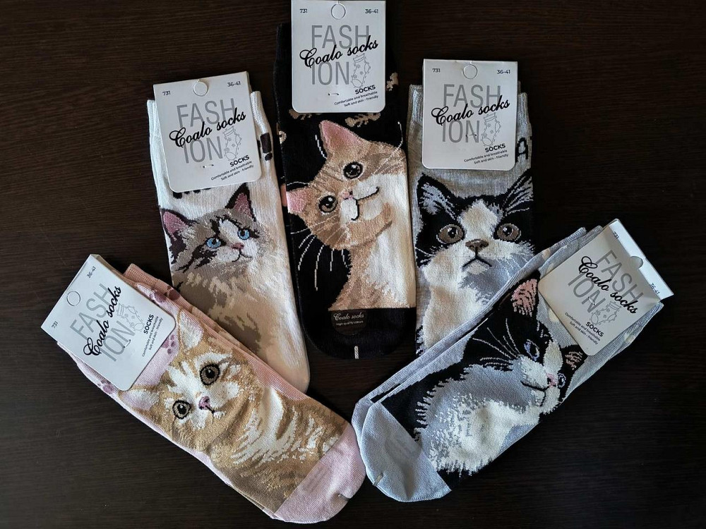 Шкарпетки жіночі в наборі з 5 шт. Яскраві жіночі шкарпетки з приколами. Coalo socks. Розмір 36-41 Київ - фото 5