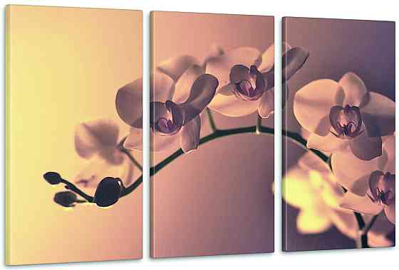 Модульна картина Квіти Орхідея (53х100см) Аrt-216_3А Київ