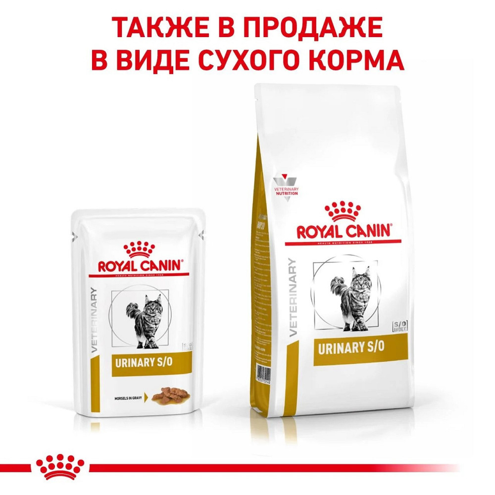 Royal Canin Maxi Puppy (Роял Канін Максі Паппи) сухий корм для цуценят великих порід Запоріжжя - фото 5