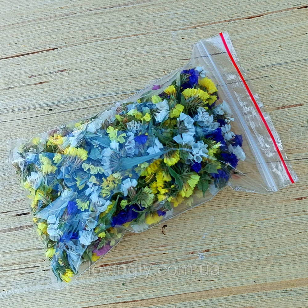 Сухоцвет статицы для декора микс цветов 30 г. Ирпень - изображение 3