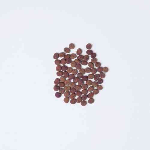 Корм сухой Carnilove True Fresh Cat Fresh Fish для взрослых кошек с рыбой 1,8 кг Киев