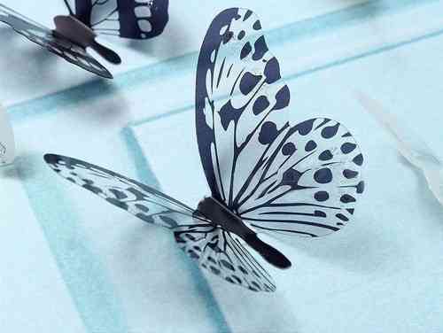 Декор метелики на скотчі на стіну 18 штук чорно-білий Київ