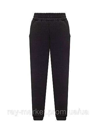 Штани чоловічі утеплені чорні RAY BASIC U0901 (U0901M-Black) XXL Київ - фото 1
