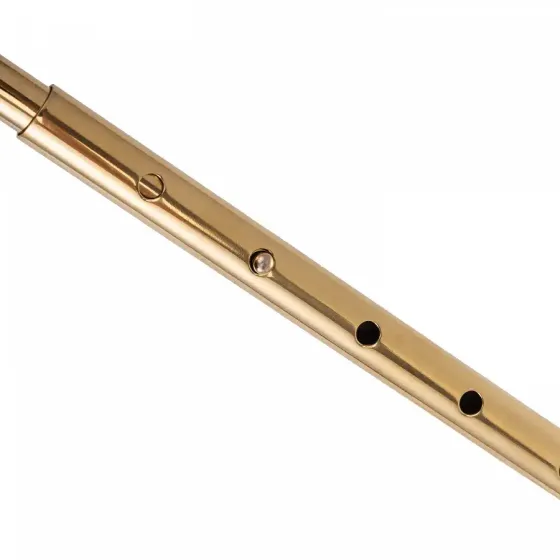 Анальний гак LOCKINK Golden Adjustable Anal Hook Set Львів