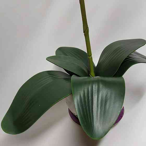 Штучна латексна орхідея VIP у білому керамічному кашпо на одну гілку біла Дніпро