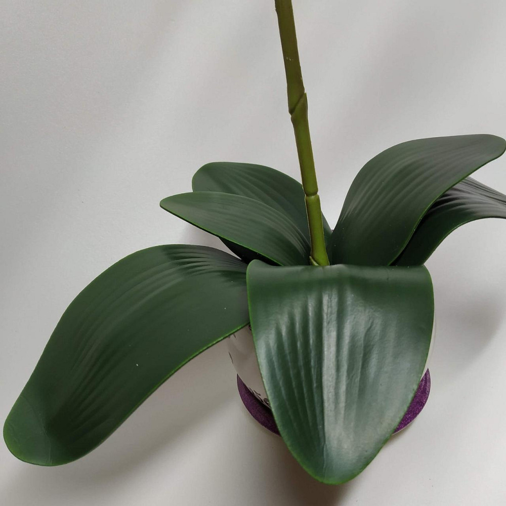 Штучна латексна орхідея VIP у білому керамічному кашпо на одну гілку біла Дніпро - фото 4