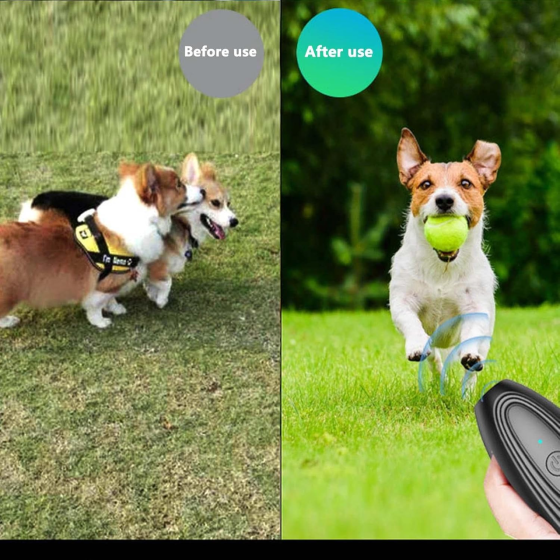 Уцінка Ультразвуковий відлякувач собак Toseky Pets Intelligent Training Expert | Пристрій проти гавкоту, USB, водонепроникний, до Київ