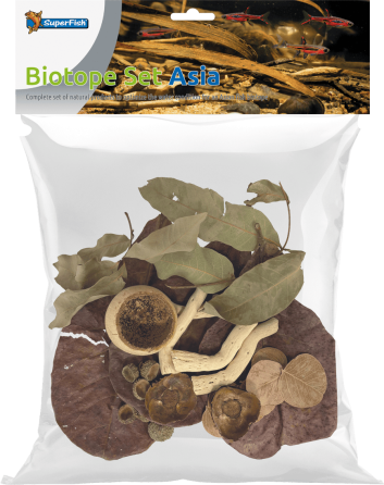 Листя катаппи BIOTOPE SET ASIA (A4080455) Київ
