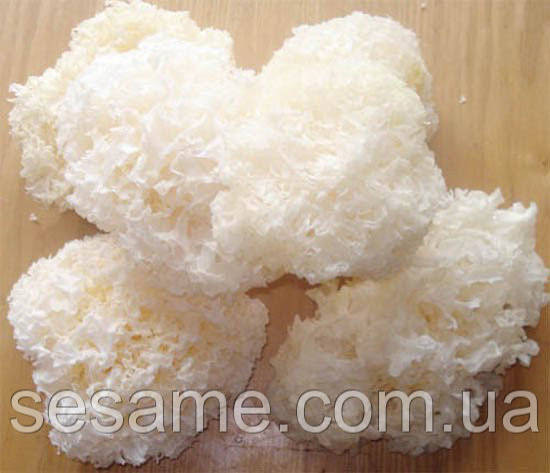 Коралловый гриб, снежный гриб Фунгус, серебряные ушки Hiep Long 500 грамм (Китай) Харьков - изображение 2