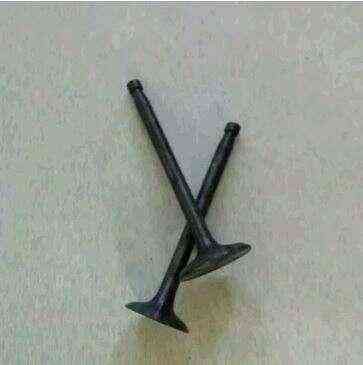 Клапаны (пара, голые) мотоблок /ZH1100 (15Hp) Мукачево