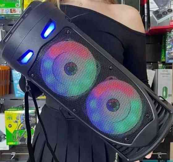 Колонка портативная для караоке , акустическая система, сабвуфер, микрофон. Киев