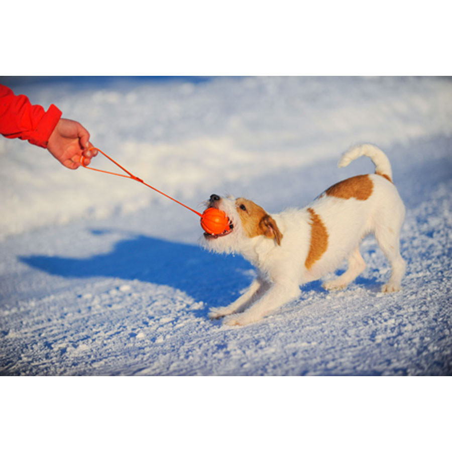 М'ячик ЛАЙКЕР5 Лайн, діаметр 5 см Вінниця - фото 5
