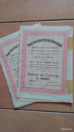 Акція. Action de Capital. 1910 рік (Д-1.7) Полтава - фото 1