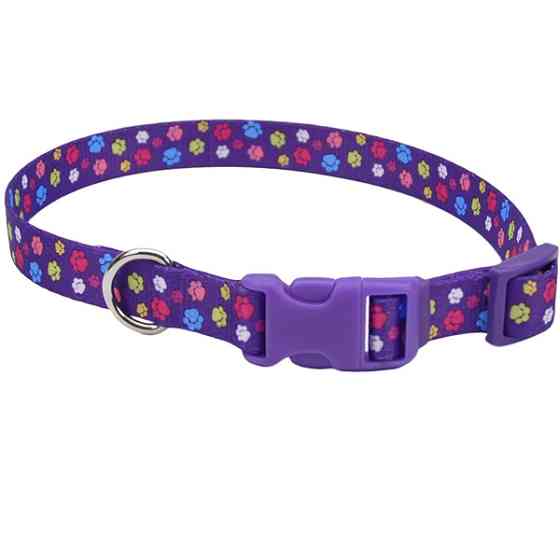 Coastal Pet Attire Styles КОСТАЛ СТАЙЛС ошейник для собак, 2.5х46-66см Киев