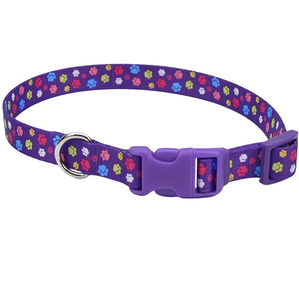 Coastal Pet Attire Styles КОСТАЛ СТАЙЛС ошейник для собак, 2.5х46-66см Киев - изображение 1
