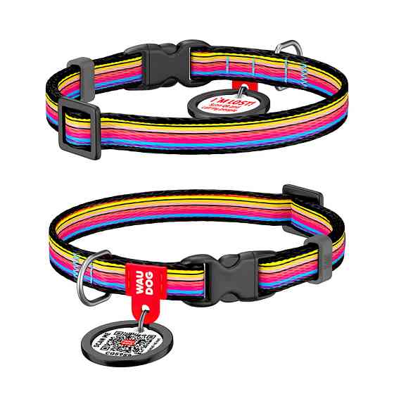 Нашийник для собак нейлоновий WAUDOG Nylon з QR-паспортом, малюнок "Линія 1", пластиковий фастекс, Ш 10 мм, Дл Вінниця