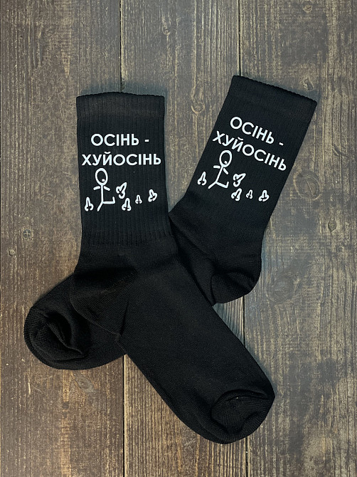 Шкарпетки "Осінь - хуйосінь" Чернівці - фото 2