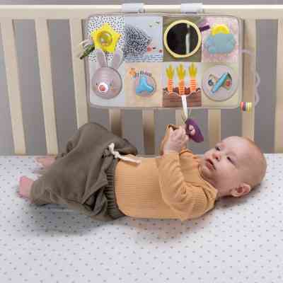 Развивающая игрушка Taf Toys центр для кроватки - Познай мир (13115) Винница