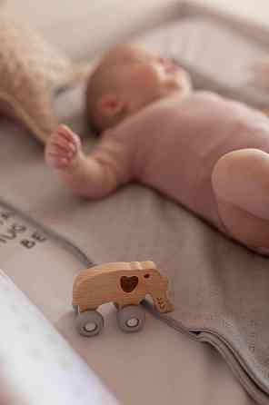 Деревянная игрушка FreeON слоник на силиконовых колесах Киев