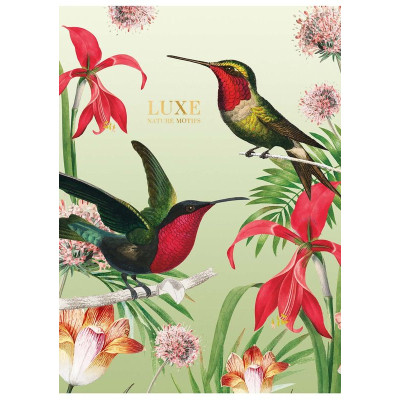 Зошит Школярик А4 Student лінія 40 аркушів (A4-040-548L) Вінниця - фото 2