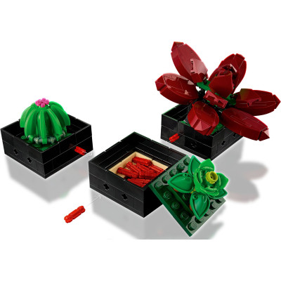 Конструктор LEGO Botanicals Суккуленты (10309-) Винница - изображение 12