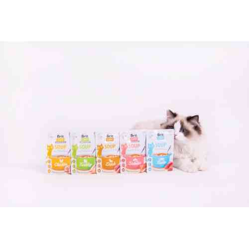 Корм вологий Brit Care Soup Salmon д/котів суп з лососем 75 г Київ