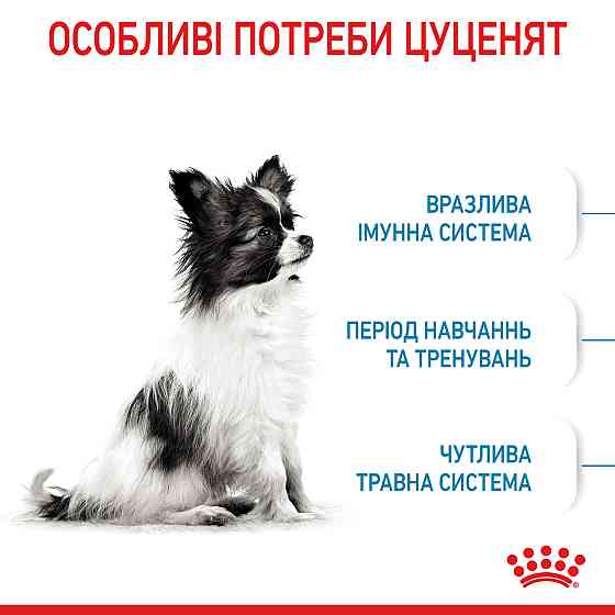 Корм для цуценят мініатюрних порід ROYAL CANIN XSMALL PUPPY 0.5 кг Київ