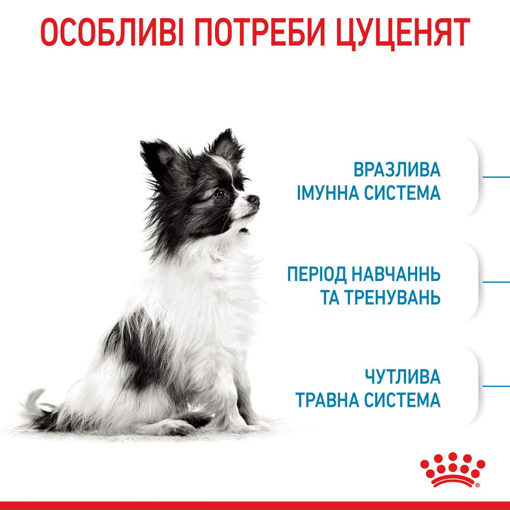 Корм для цуценят мініатюрних порід ROYAL CANIN XSMALL PUPPY 0.5 кг Київ - фото 3