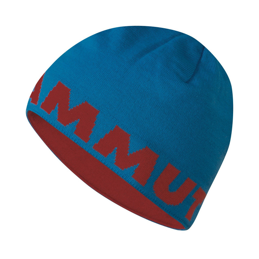 Шапка Mammut Logo Beanie синий Запоріжжя - фото 1