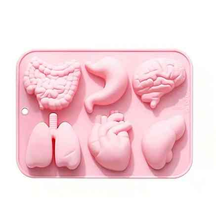 Силиконовая форма «Органы человека» для мыла, гипса и шоколада – 6 ячеек Киев