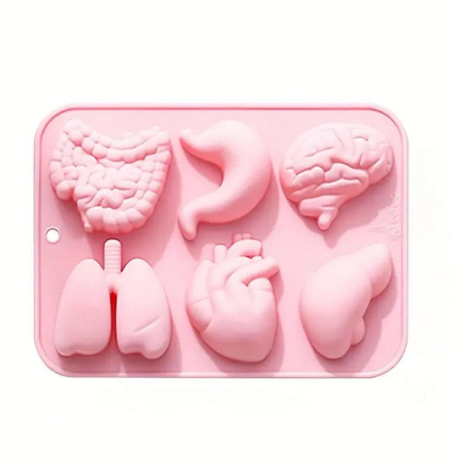 Силиконовая форма «Органы человека» для мыла, гипса и шоколада – 6 ячеек Киев - изображение 1