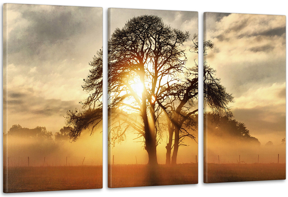 Модульная картина Природа Закат Аrt-217_3А 100x150 см Киев - изображение 1