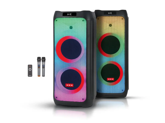 Портативна акустична колонка ZXX-5590 100Вт, 2×10" динаміка, TWS/FM/USB/TF/BT/LED, 2 мікрофони, пуль Київ
