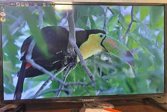 Телевизор: Samsung 52