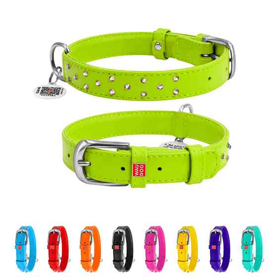 Нашийник для собак шкіряний WAUDOG Glamour з QR паспортом, з клейовими стразами, Ш 25 мм, Дов 3 Коломия