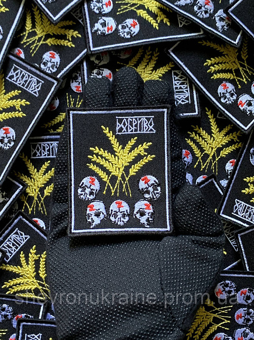 Шеврон ДОБРИВО (Форма прямокутна. На липучці) Розмір 8x6.5см Київ - фото 6