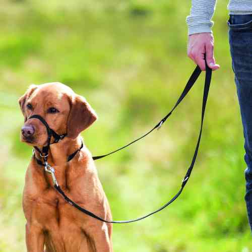 Шлея для собак Trixie тренувальна L-XL чорна Киев