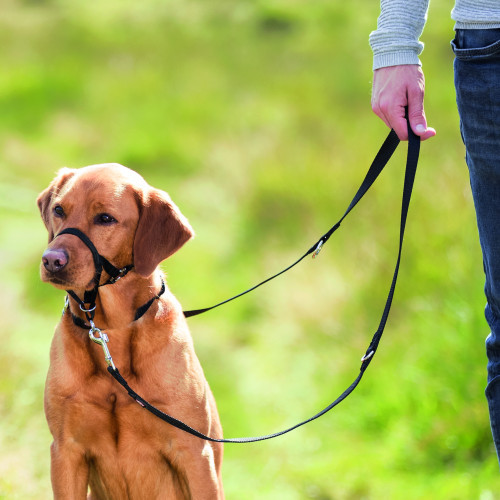 Шлей для собак Trixie тренувальна L-XL чорна Київ - фото 2