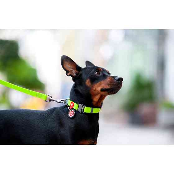 Нашийник для собак водостійкий WAUDOG Waterproof c QR паспортом, металічна пряжка-фастекс, Ш 25 Коломыя