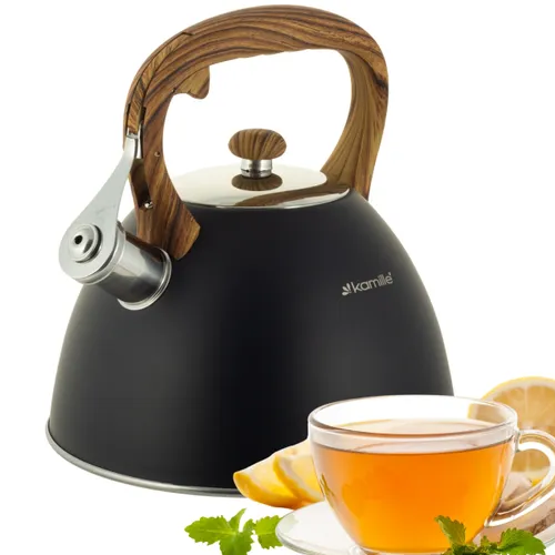 Чайник 3л нержавіюча сталь зі свистком з ручкою 