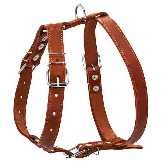 Шлея "CoLLaR" одинарна для середніх собак (ширина 25мм, А:49-68см, В:68-80см) коричневий Київ
