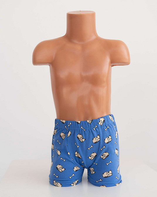 Набор подростковых боксеров на мальчика из 5 шт. Tom John 541304 12-13 Киев - изображение 2