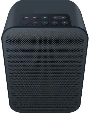 Портативная колонка Bluesound PULSE FLEX 2i czarny Киев