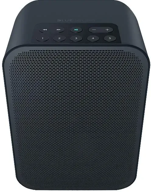 Портативная колонка Bluesound PULSE FLEX 2i czarny Киев - изображение 1