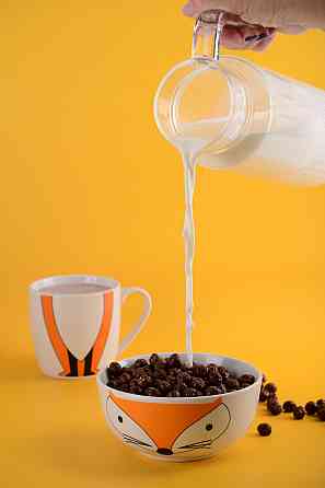 Дитячий набір Limited Edition Happy Fox, 2 предмети (6634558) Київ