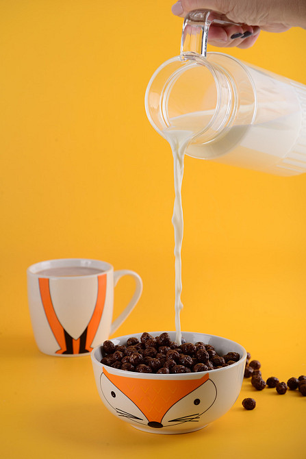 Дитячий набір Limited Edition Happy Fox, 2 предмети (6634558) Київ - фото 2