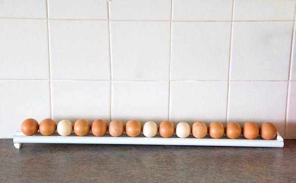 Подставка для яиц 