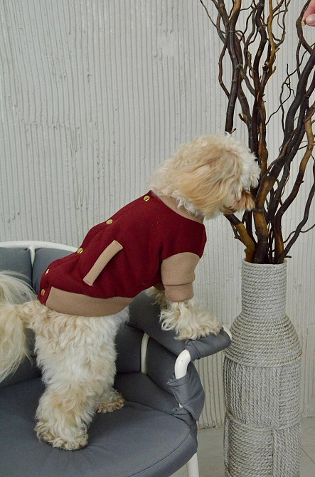 Бомбер для собак трикотажна кофта на флісі Dogs Bomba з кнопками на спині Марсала Одеса - фото 7