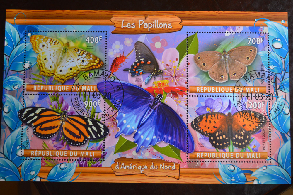 Малі. Марки. Фауна. Блок. 2019 рік (У-2) Полтава - фото 1