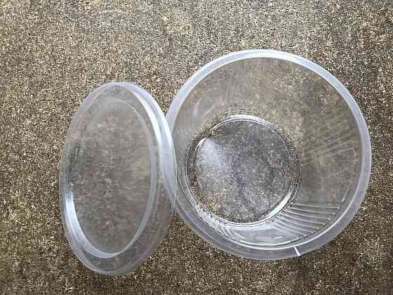 Одноразовый судок с крышкой 350 мл сметанник Павлоград